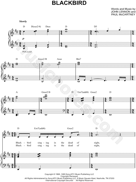 Blackbird
