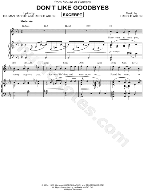 Don't Like Goodbyes [Excerpt]