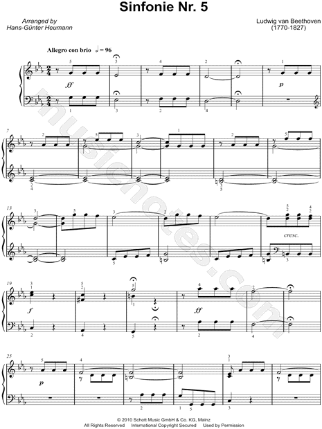 Symphony No. 5 in C Minor, Op. 67: I. Allegro con brio [Excerpt]