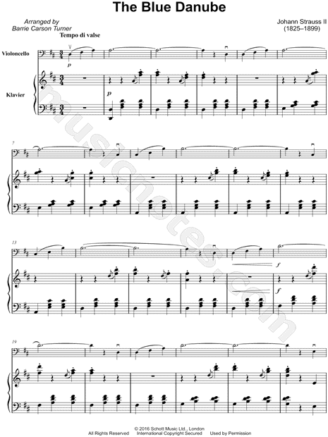 The Blue Danube, Op. 314: Waltz No. 1 [Main Theme]  - Cello & Piano