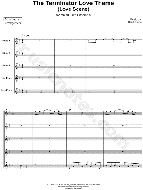 The Terminator Love Theme - Mixed Flute Ensemble