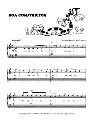 Boa Constrictor